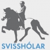 svissholar_hoch3