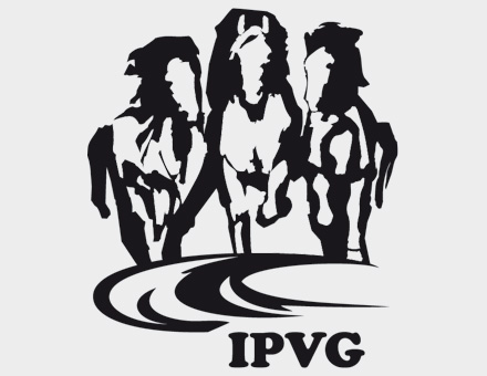IPVG_Logo2